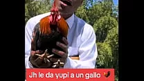 Filtrado: Jh detona a Gallina xD